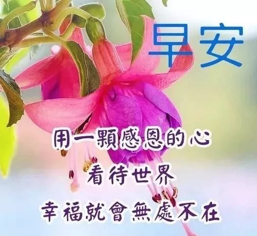 你要做的就是无视嘲笑的声音，给自己打气，早安，朋友