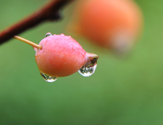 秋雨抒怀八首