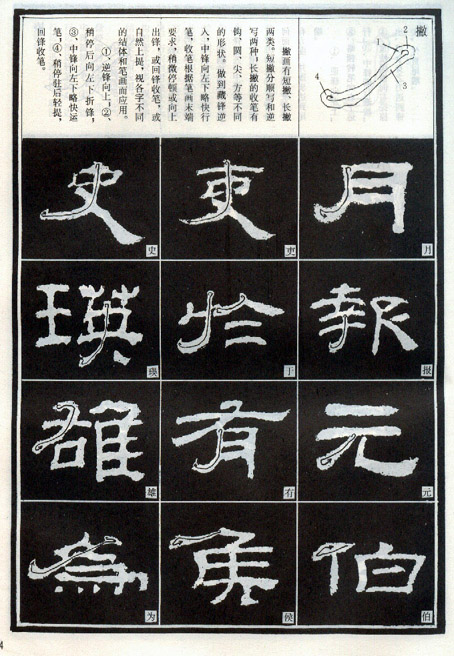 隶书入门基本笔画写法（零基础隶书的基本笔法）