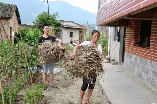 寒门贵子胡安康：父母残疾，靠吃野菜维持生活，685分考入清华