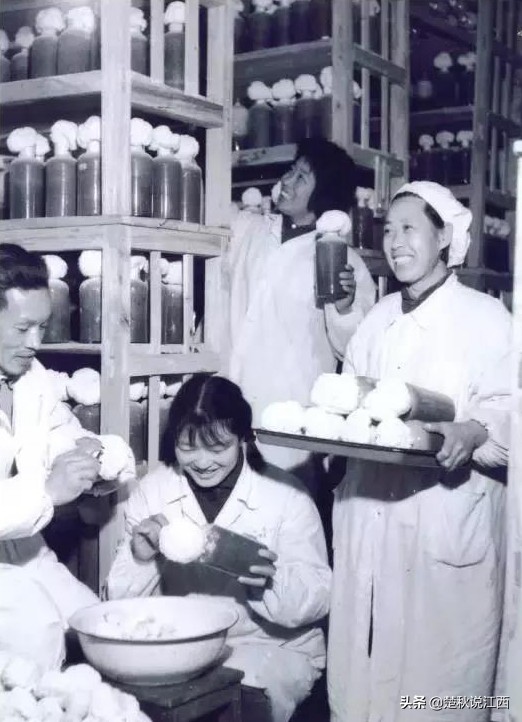 江西青春往事：赣鄱大地上的共产主义大学