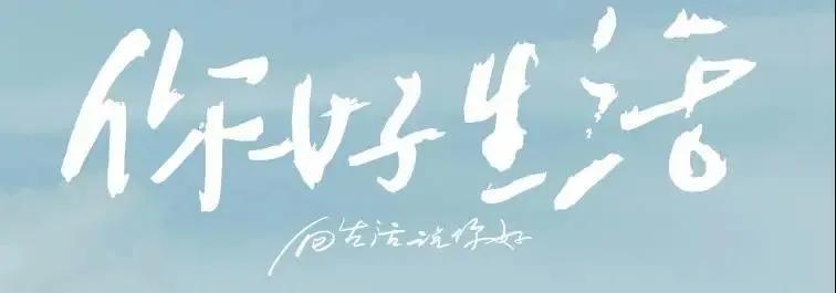 喜欢的文字更灵动(关于喜欢文字的文章)