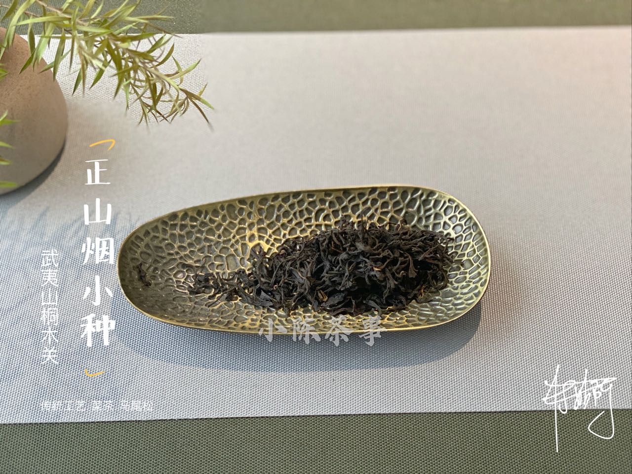 红茶入门指南：新手必知的十大红茶品种与冲泡要点