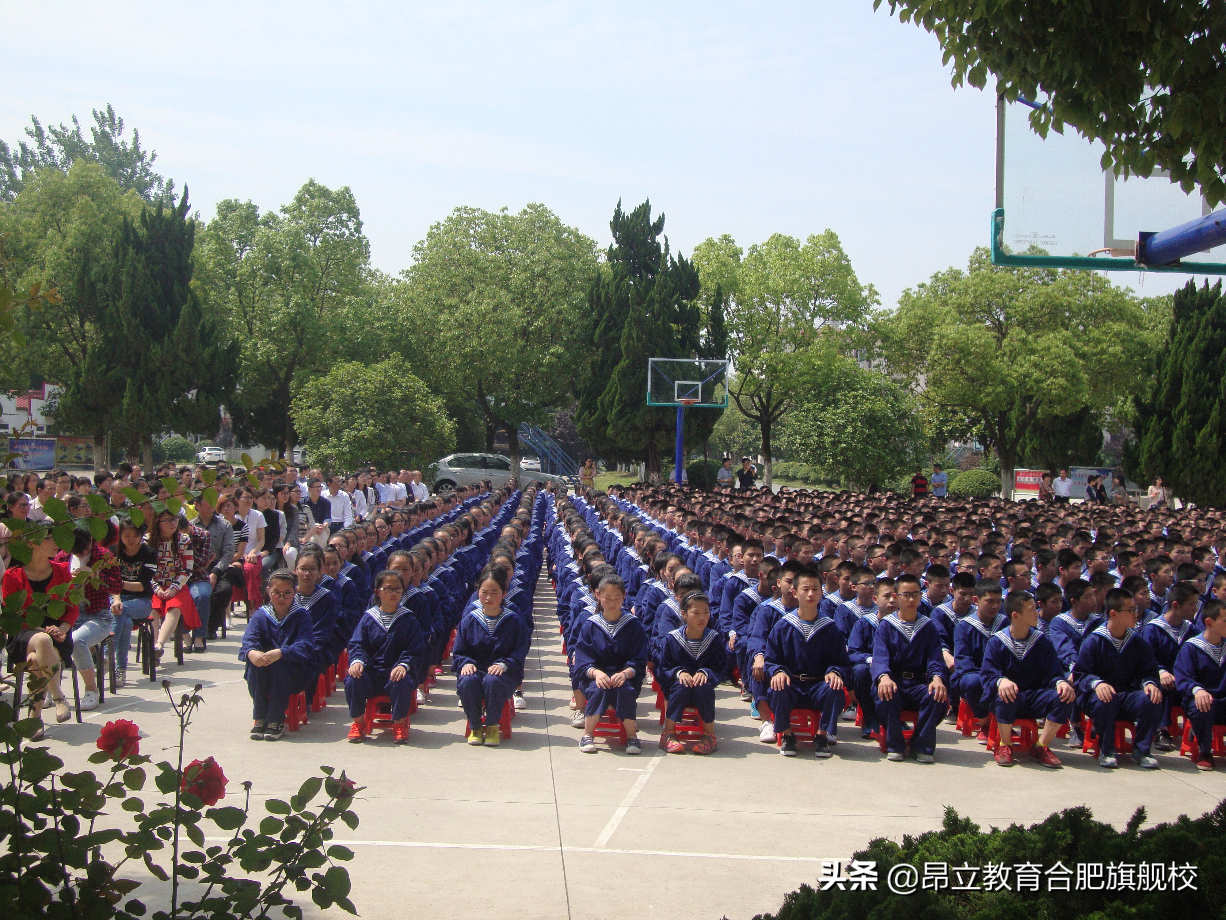 合肥幼升小 || 2021民办小学盘点（一）