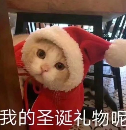 猫咪圣诞节系列表情包合集｜能和你过圣诞节吗