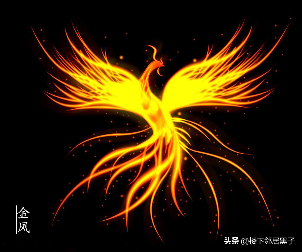 九雏之一金凤九雏中最高贵的.