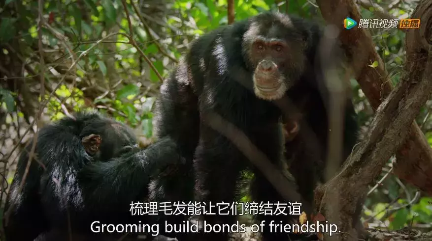 有的做人不及格,有的做到近满分
