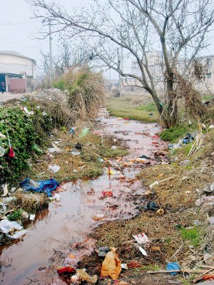 世界的东北话常用语言大全（彩图注音版）