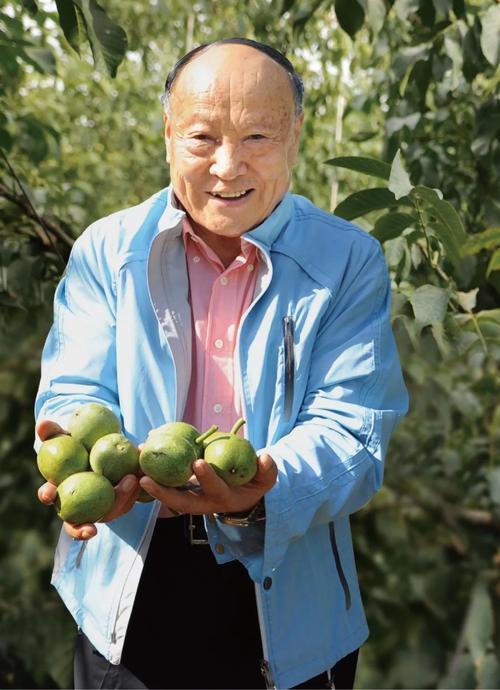 乐视回来了？烟台东营济宁3位村会计，身家数十亿，他是山东首富