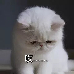 猫咪表情包合集｜无聊到长草