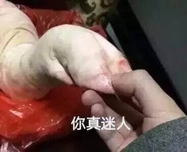 猪猪想你了表情包合集