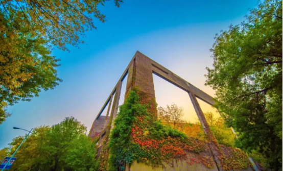 它是中国第一所现代大学，走出“两弹一星”功臣，培养84位杰出政界校友！