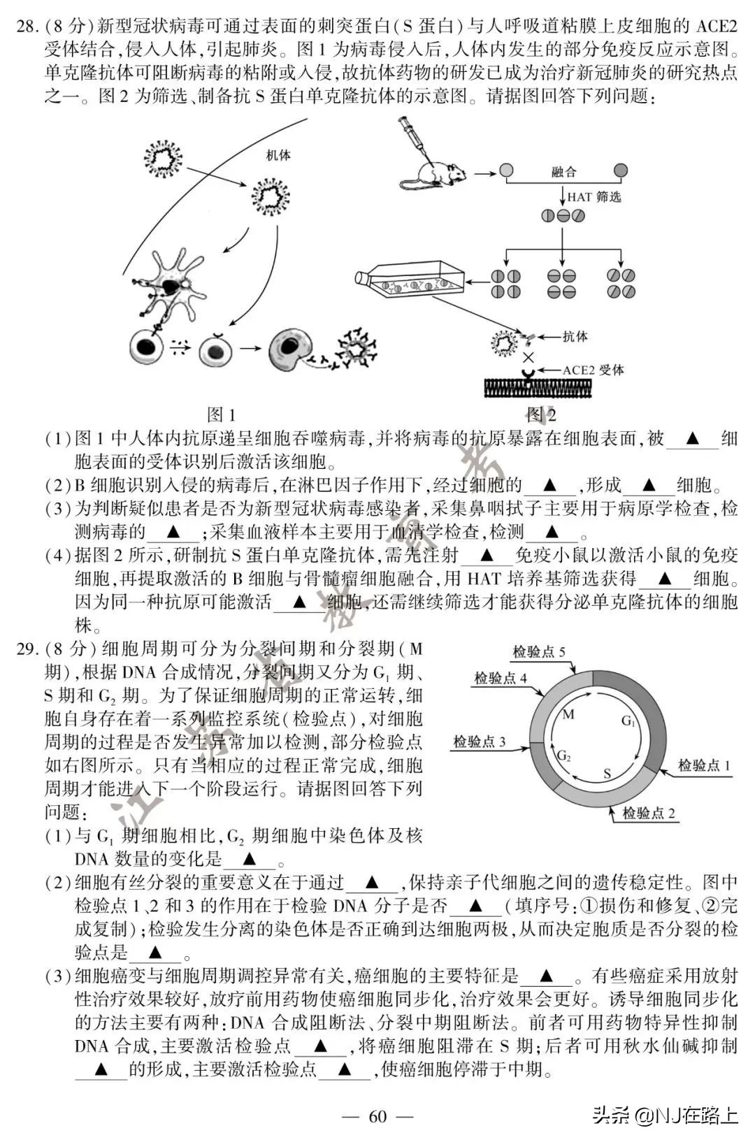 2020江苏高考试卷+答案公布