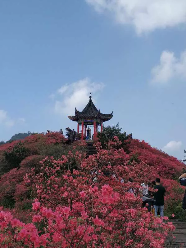 手拍世界(手机摄影平台)-群员作品集(总第469期)
