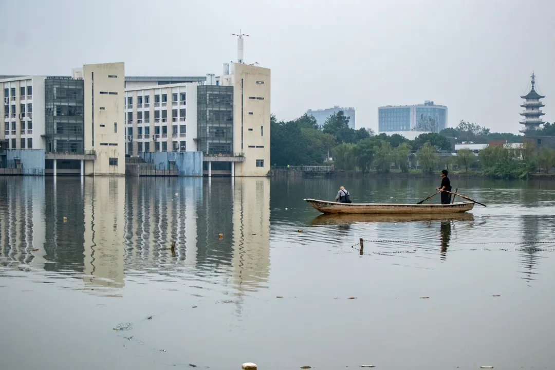 金职喊你免费吃鱼啦