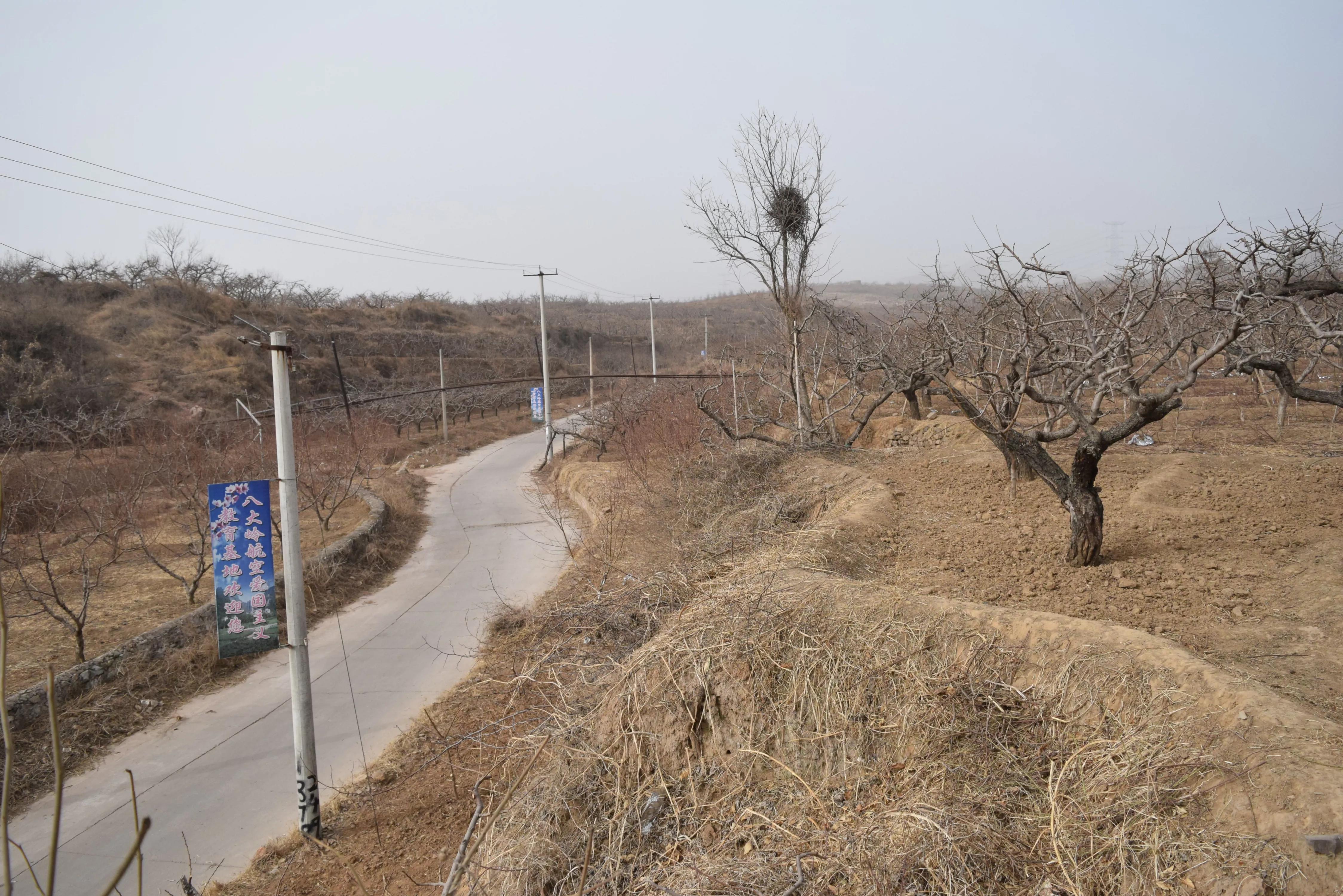 油性色粉作品《山之家园》的创作过程