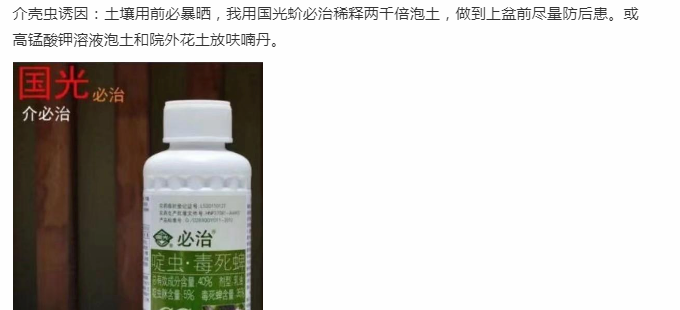 家庭养花中农药的使用？你有没有注意思考过这些问题？值得深思！