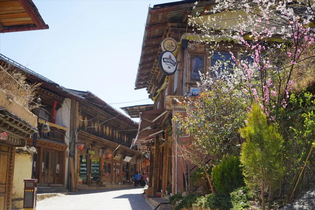云南自驾游路线推荐(去云南香格里拉的超全超新旅行攻略推荐)(图12) 丽江去腻了还能去哪儿?香格里拉啊!这份最新攻略一定要看