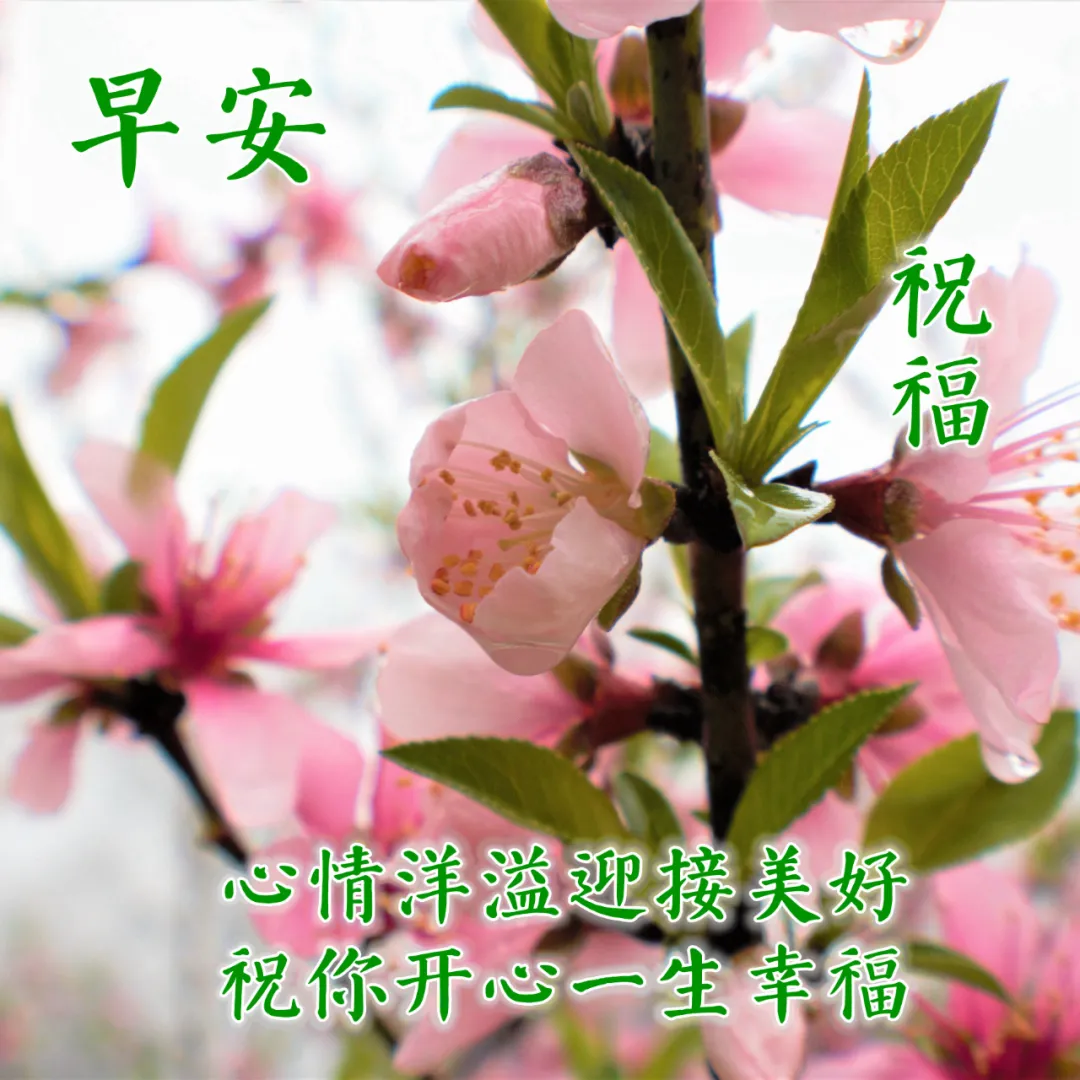 快乐幸福的早上好动态图片，早安心语动态表情包