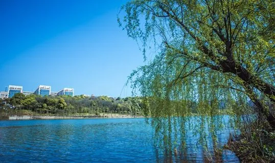 权威发布！湖南工程学院2020年招生简章