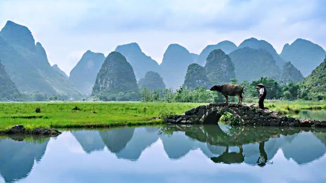 牛年，送你四首关于牛的古诗词，品时光安暖岁月静好
