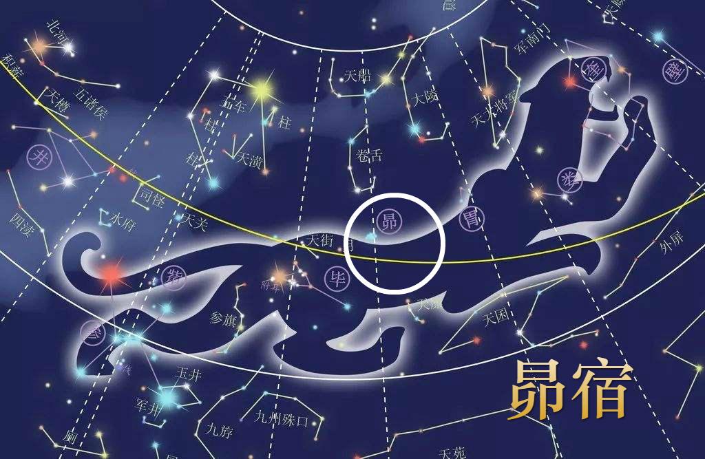 山海经星兽系列，二十八星宿之昴宿，昴日鸡