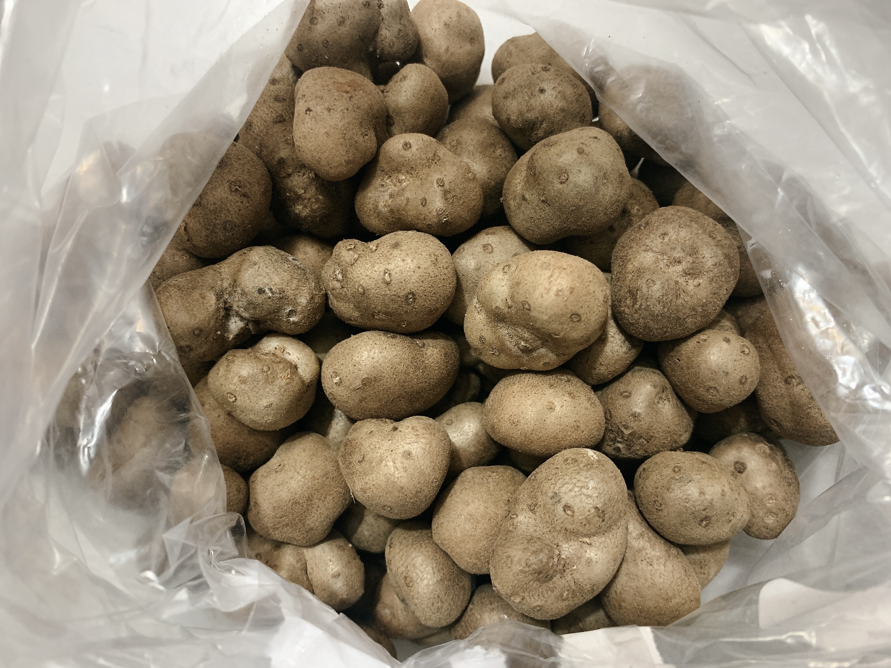 山药豆怎么吃效果好（9步学做好吃的糖霜山药豆）