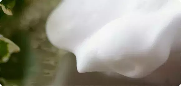 日本POLA旗下这个小众牌子THREE，"冷淡"贵妇风