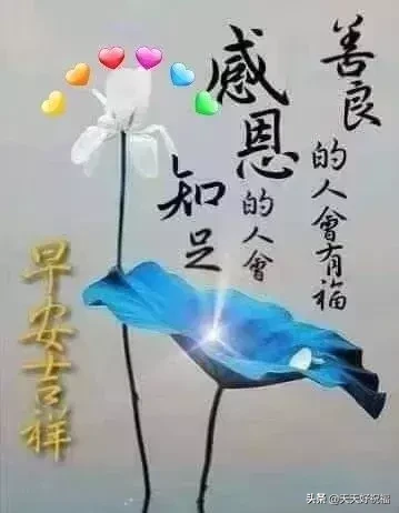 朋友圈最新秋天早上的温馨问候语，秋天清晨早安祝福语句句暖人心