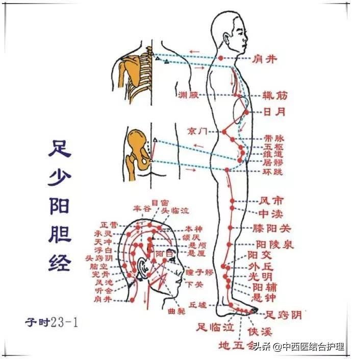 「中医讲头痛」头痛是内脏在警告什么呢?头顶痛是肝头痛、前额痛是胃头痛等,快来看看吧