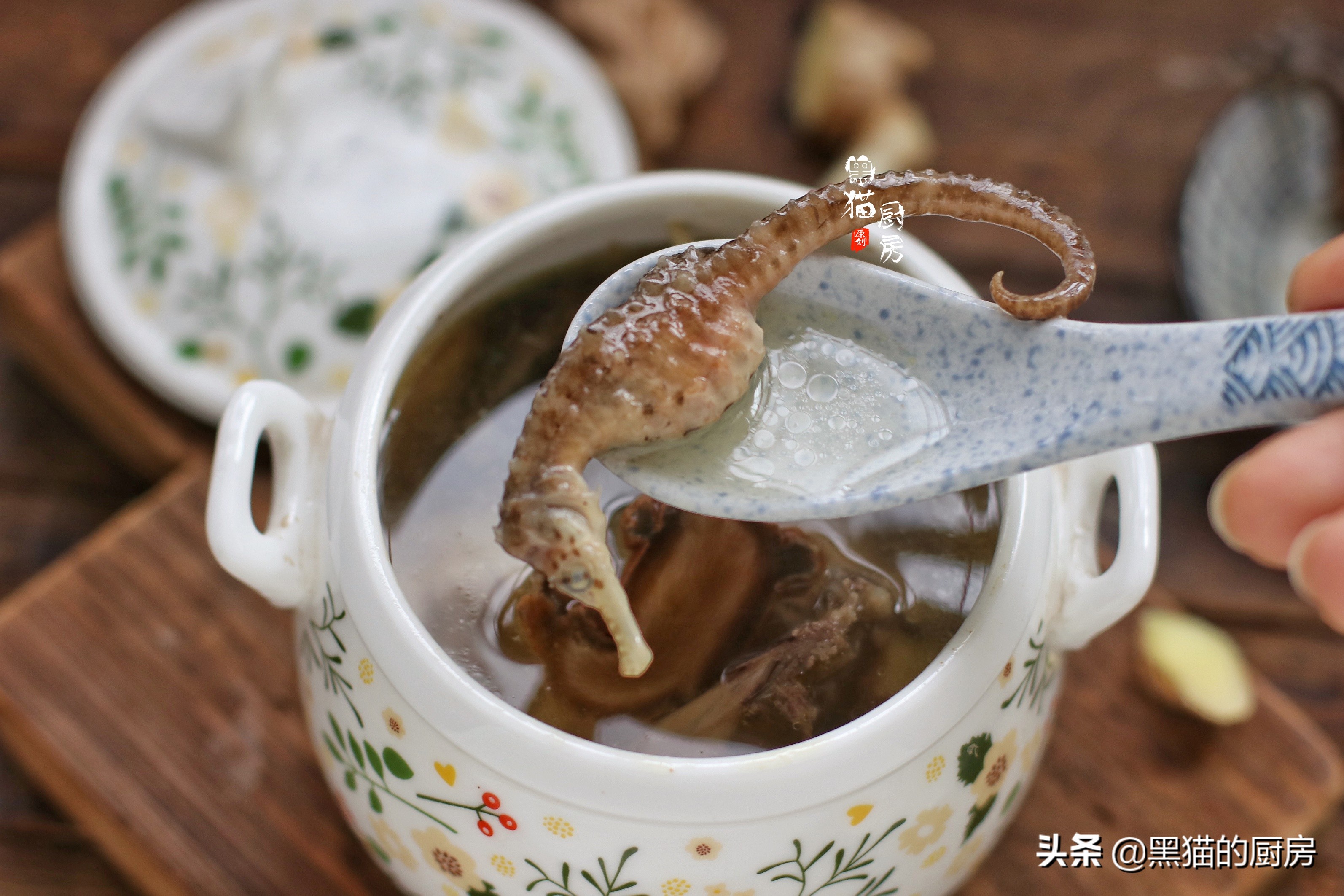 海马的价格多少钱一斤邻居送来两对海马