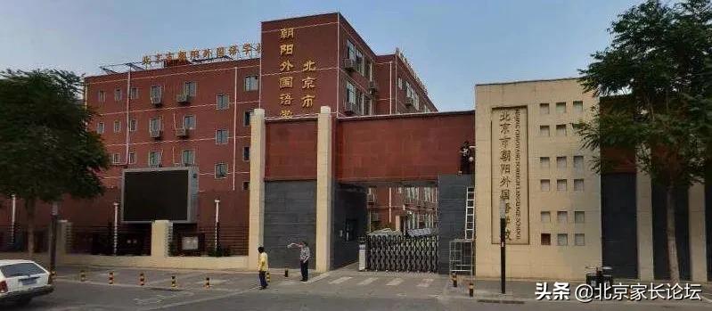 海淀外国语学校好进吗（这是一个真实的朝阳外国语）