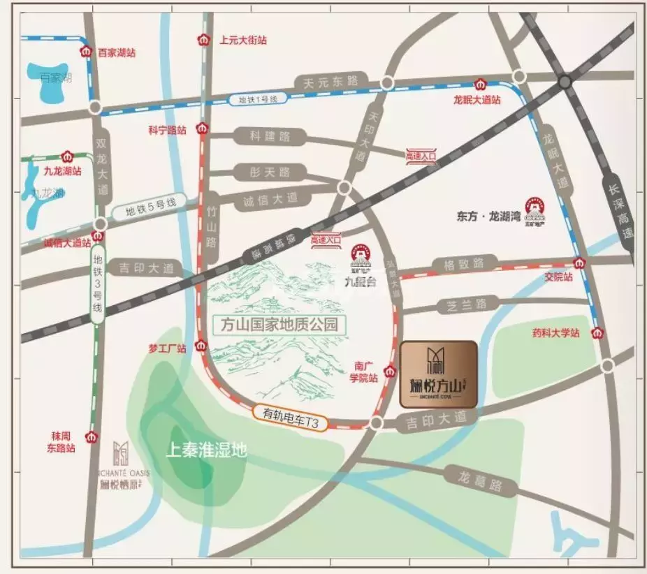 东山外国语学校学区划分新出炉，南站又将迎来双学区！