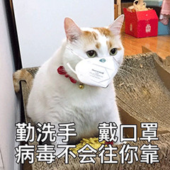 PPT制作自动显示数据的动态地图，原来这么简单！1分钟就能学会