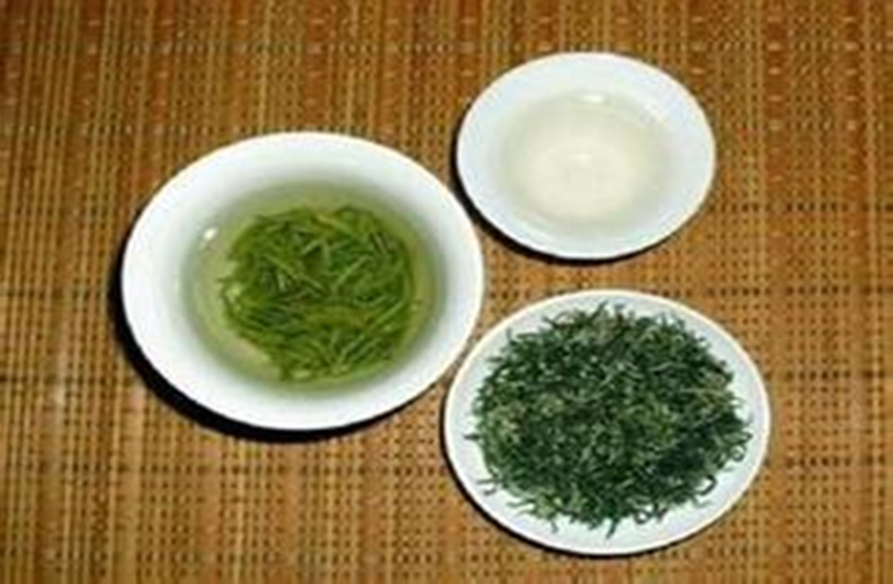 仙人掌茶的功效与作用（仙人掌茶茶叶品种介绍）