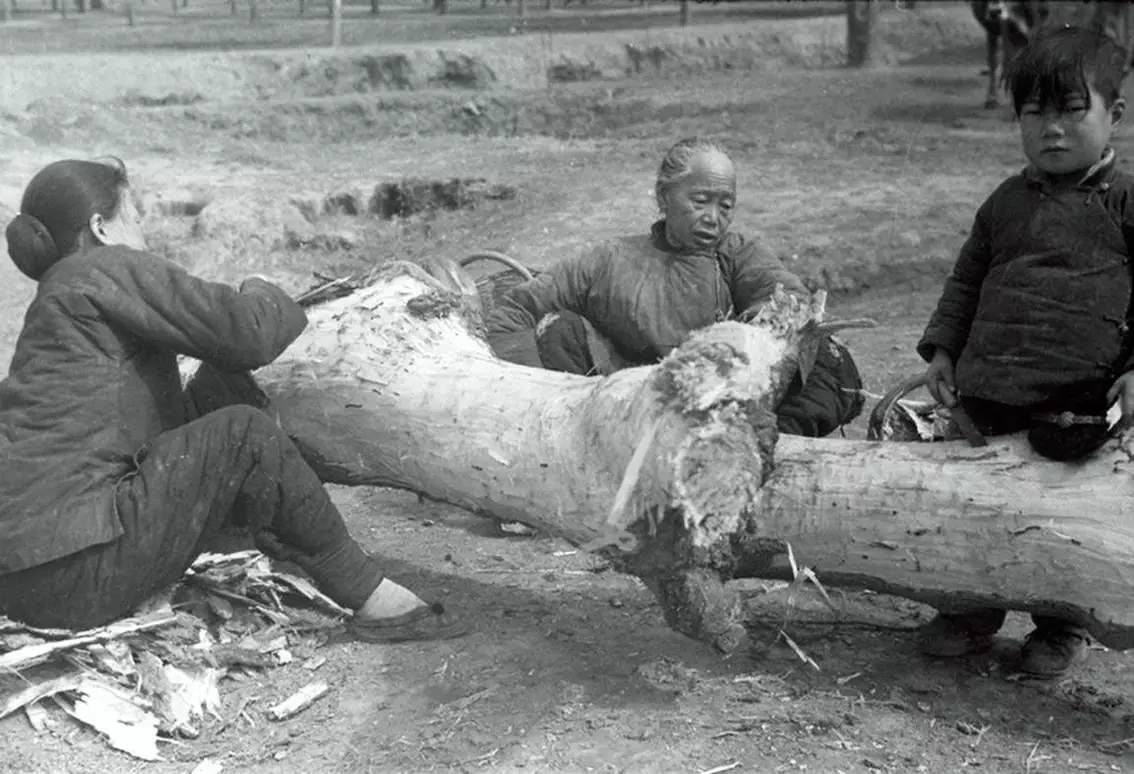 乐山大佛千年不倒，每逢灾难都会闭眼流泪，是巧合吗？