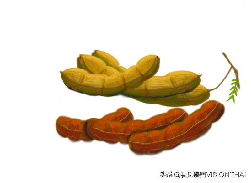 认识13种泰国水果：山竹、榴梿、 蛇皮果、木鳖果、红毛丹…