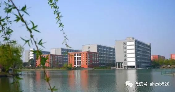 安徽专升本｜汉语言文学有哪些学校性价比最高？