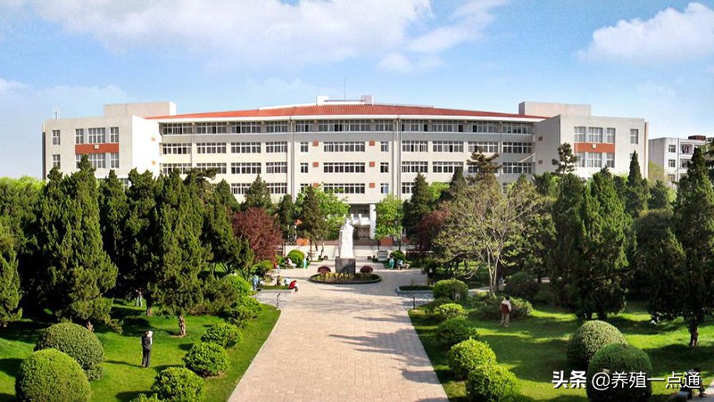 殷宗俊，安徽农业大学动物科技学院教授、博导，动物遗传育种专家