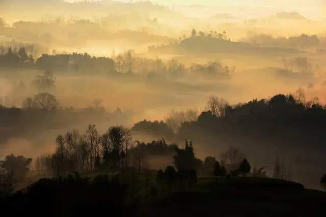 “一片冰心在玉壶”：王昌龄《芙蓉楼送辛渐》赏析