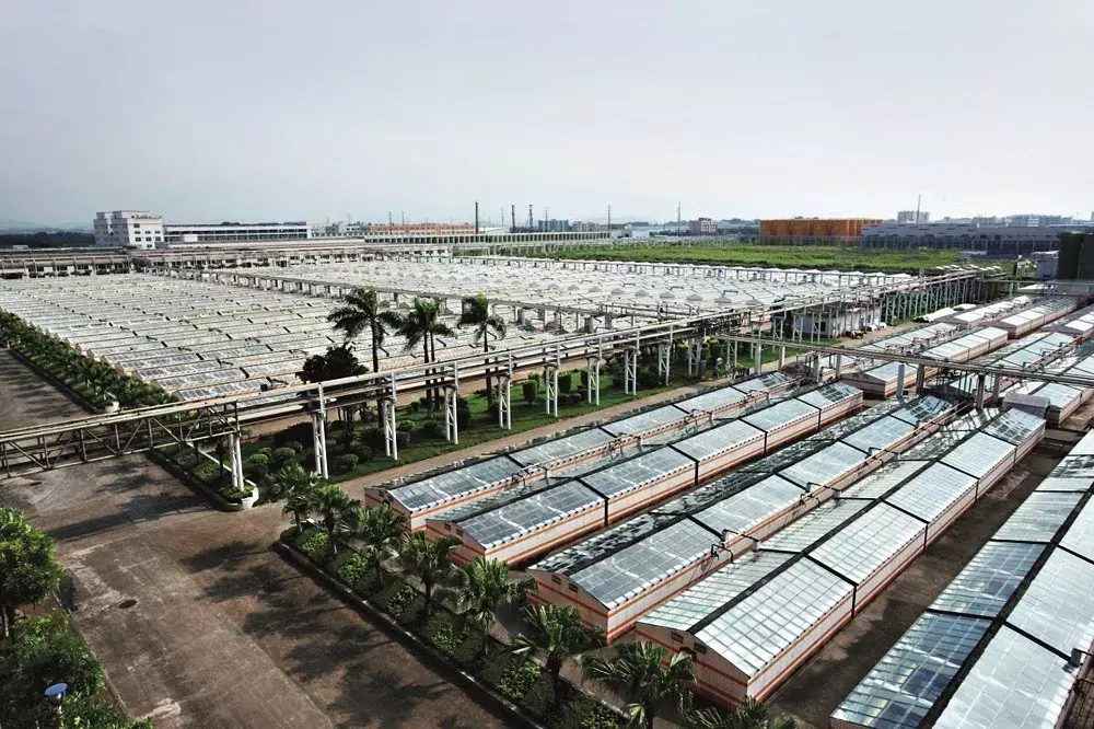 佛山转型：升级中国制造地标