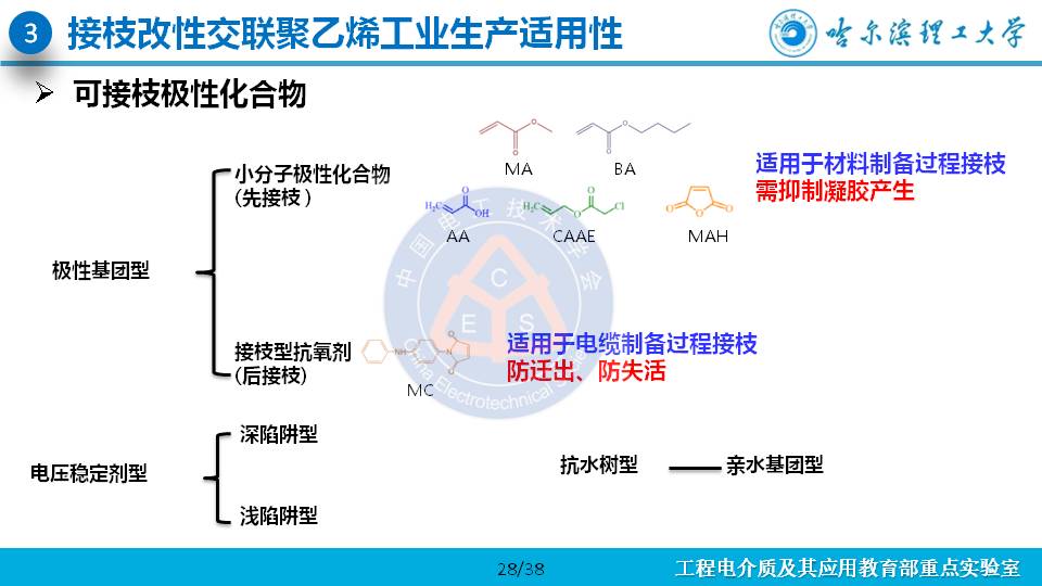 哈尔滨理工大学杨佳明副教授：深陷阱改善交联聚乙烯电性能的研究