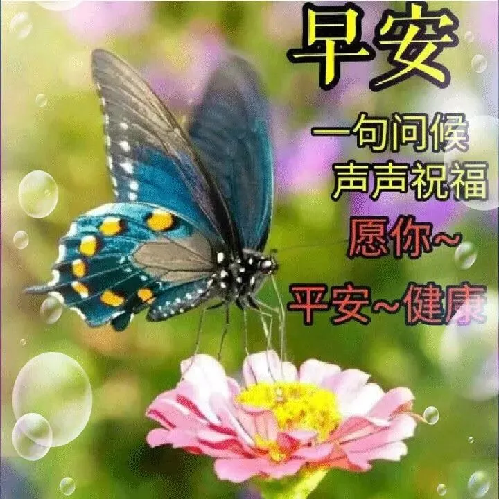 清晨到，对着镜子照，照一照，笑一笑，所有烦恼都跑掉，早安