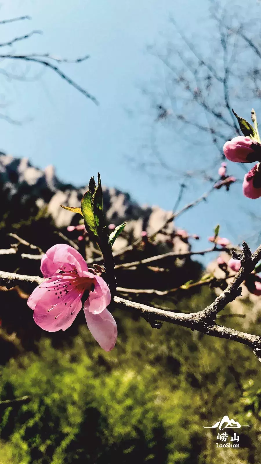 雨后九水，山花烂漫，瀑布清潭，每一刻都是如此美好~