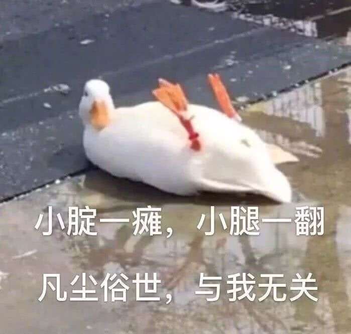 表情包：一场意外 让本不富裕的我更雪上加霜