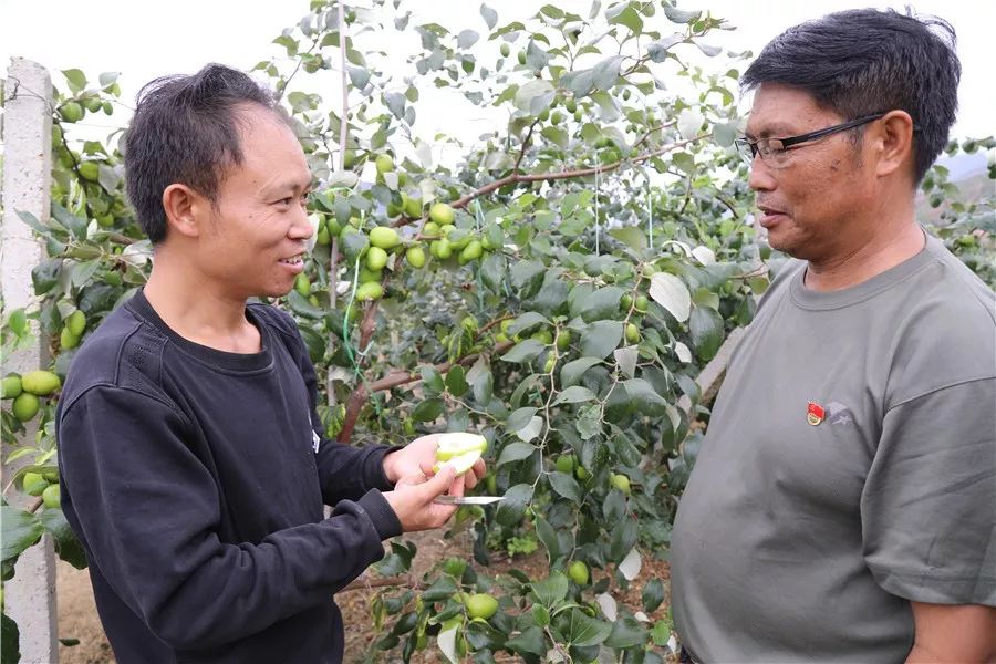 村子里走出的“电商达人”，他卖啥好东西？