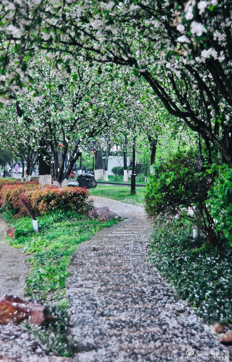 莫愁湖——粉黛江山，留得半湖烟雨；王侯事业，都如一局棋枰