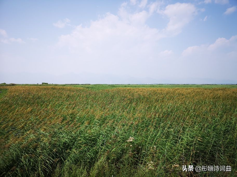 花在草原诗在心：金秋内蒙之旅古典诗词曲拾零悠情