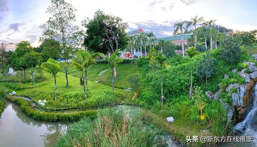 泰晤士高等教育发布2021亚洲大学排名！这些留学大热门都在TOP 10