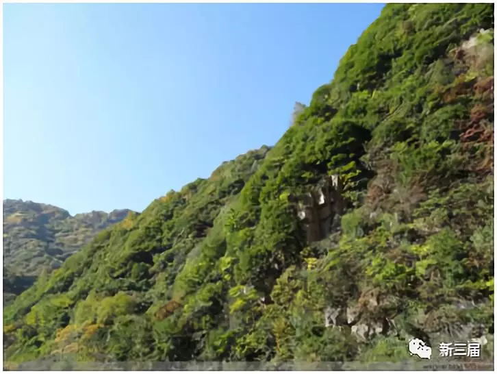 王晓光：我在姜太公钓鱼的地方当知青